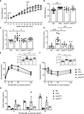 N-acetyl-L-cysteine treatment reduces beta-cell oxidative stress and pancreatic stellate cell activity in a high fat diet-induced diabetic mouse model